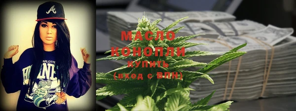 индика Богородицк