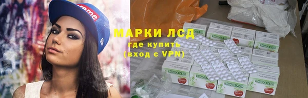 PSILOCYBIN Богданович