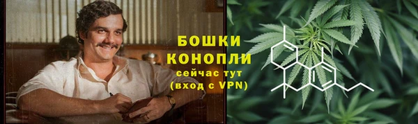 дживик Богородск