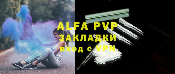 PSILOCYBIN Богданович