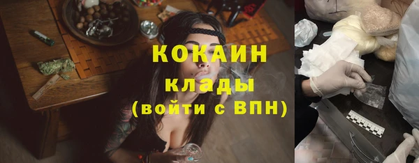 индика Богородицк