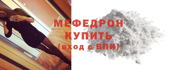 индика Богородицк