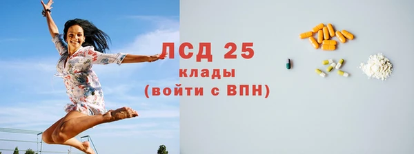 дживик Богородск