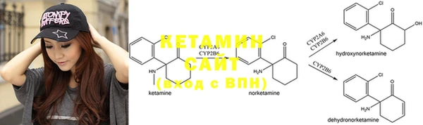 индика Богородицк