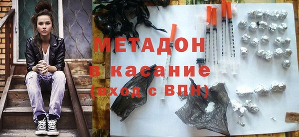индика Богородицк