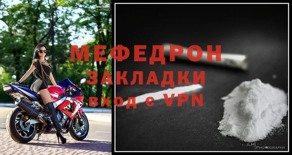 индика Богородицк