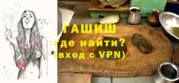 индика Богородицк
