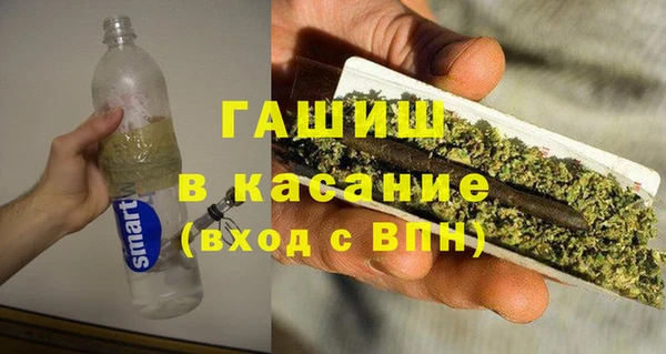 индика Богородицк
