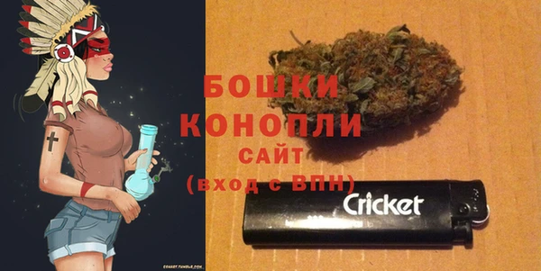 дживик Богородск