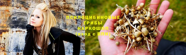 индика Богородицк