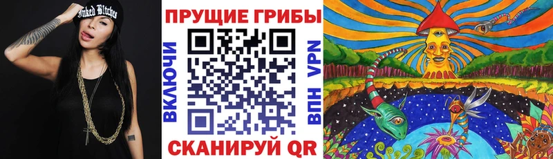 KRAKEN как войти  Донецк  Псилоцибиновые грибы Cubensis 